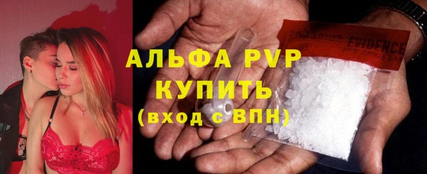 сатива Гусиноозёрск