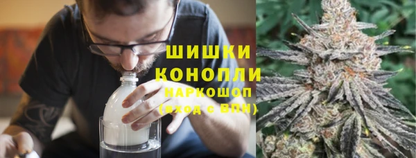 сатива Гусиноозёрск