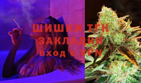 сатива Гусиноозёрск