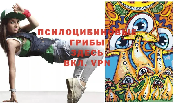 стафф Гусев