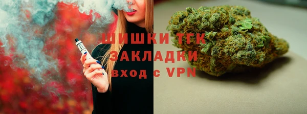 стафф Гусев