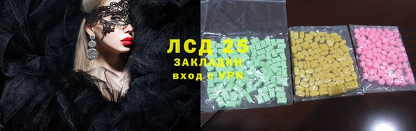 стафф Гусев