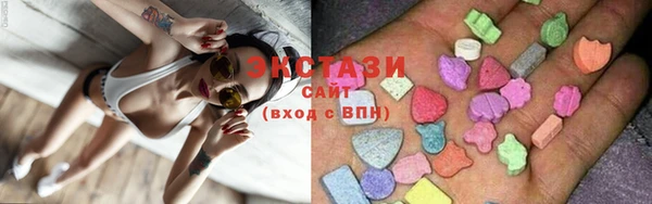 стафф Гусев