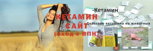 сатива Гусиноозёрск
