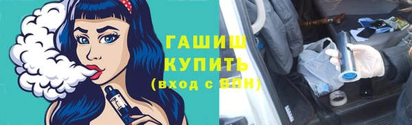 стафф Гусев