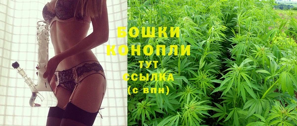 сатива Гусиноозёрск