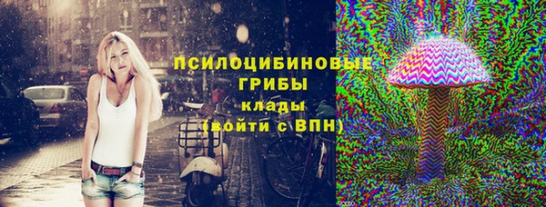 a pvp Гусь-Хрустальный