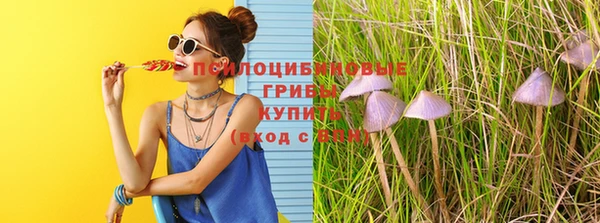сатива Гусиноозёрск