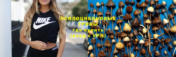 стафф Гусев