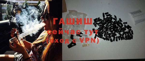 стафф Гусев