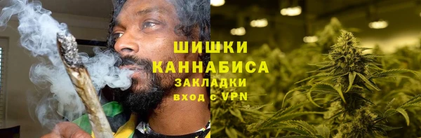 стафф Гусев
